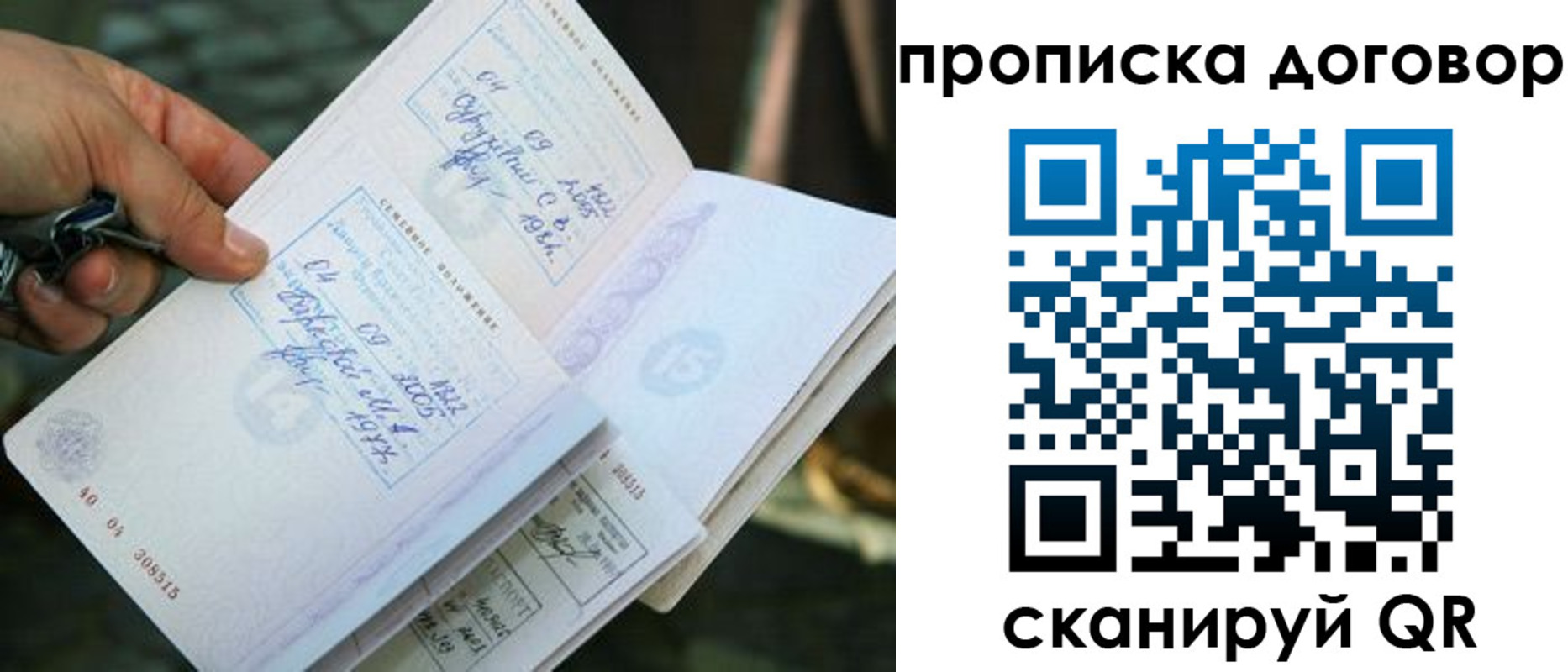 прописка для школы в Полярных Зорях